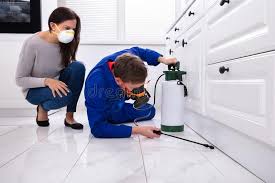 Best Indoor Pest Control  in Vale, OR